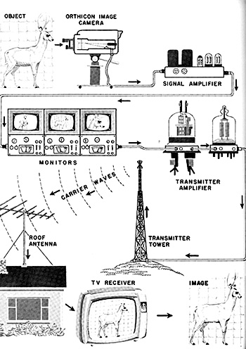 Illustration for article titled Even Back in 1965, Tiny Humans Didn't Live in Your TV Set